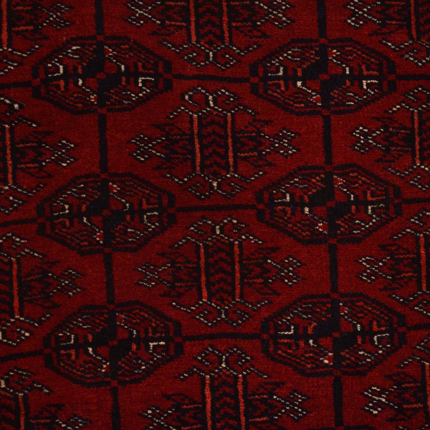 Hand Knotted Bokhara Wool Carpet 3' 11" x 5' 11" (ft) - No. 9034
